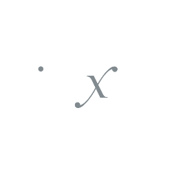 Direxion Daily TSLA Bull 2X ETF
